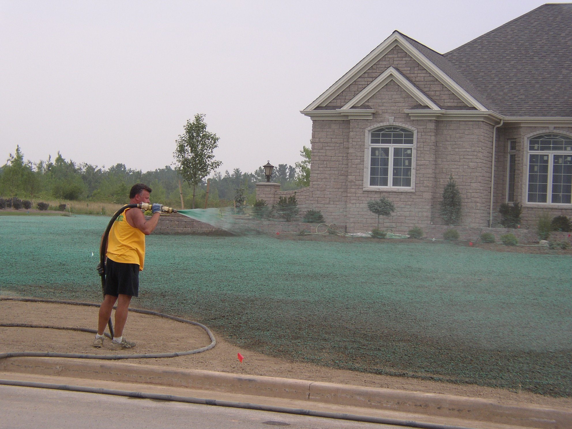 Rick Gorczyca, Hydroseeding lawn - owner of Bison Bluegrass